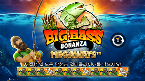 스위트 보난자 크리스마스