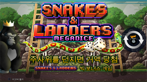 파이어버드 스피릿