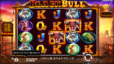 보난자 골드